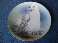 Sammelteller - The Snowy Owl (1984) - by Raymond Watson  Limited Schleswig-Holstein - Großhansdorf Vorschau