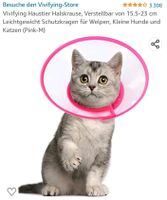 Schutzkrause Katze Bayern - Füssen Vorschau