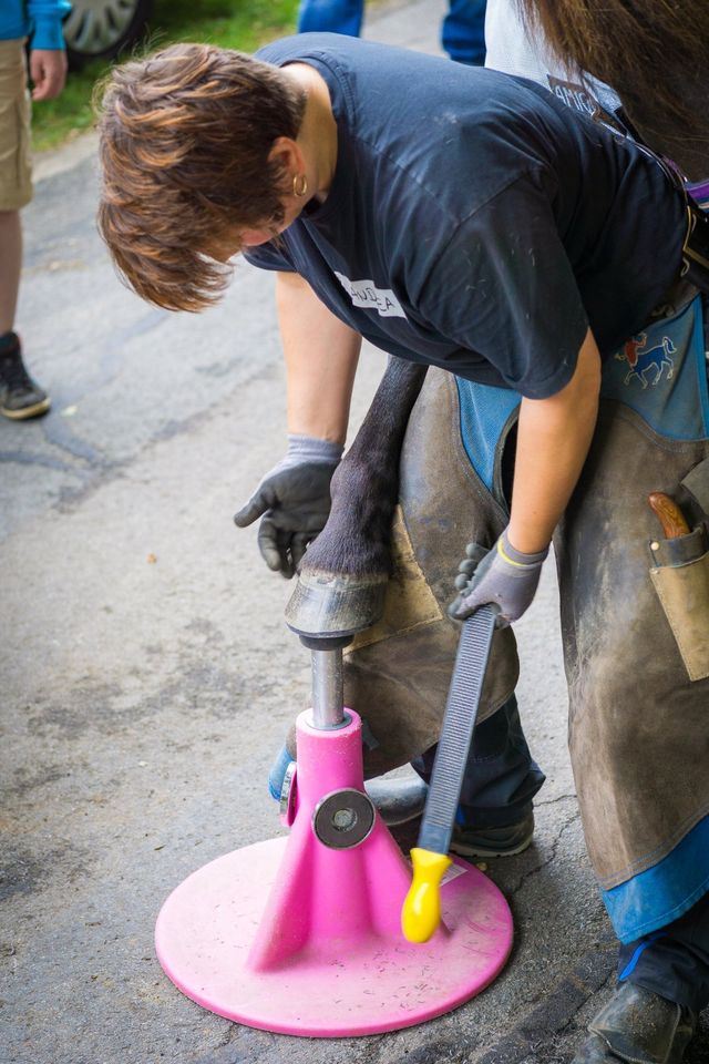 Hufkurs Kleben Hufseminar, Bekleb Klebebeschlag, 29.-30.06.2024 in Rodewald