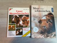 Meerschweinchen Bücher Essen - Essen-Ruhrhalbinsel Vorschau