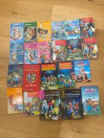 Enid Blyton Fünf 5 Freunde 22 Bücher Niedersachsen - Seggebruch Vorschau