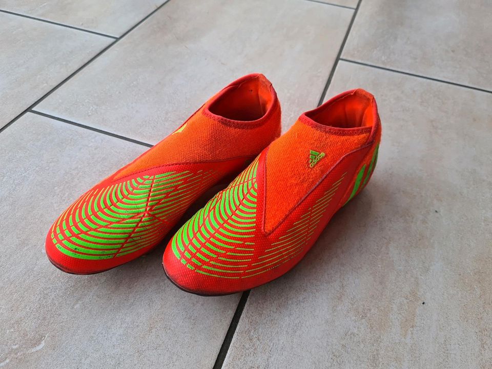 Adidas Fußballschuhe, Predator, Größe 38, inkl Versand in Brechen