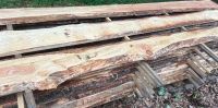 36Stk Douglasie 2,5x300cm Schwarte Brett unbesäumt Bohle Holz Zau Herzogtum Lauenburg - Buchhorst Vorschau