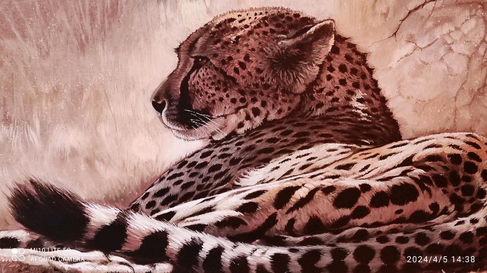 Bild "Ruhender Gepard"  103 x 37 cm, ausdrucksstark in Remscheid
