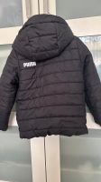 Puma jacke Nordrhein-Westfalen - Iserlohn Vorschau