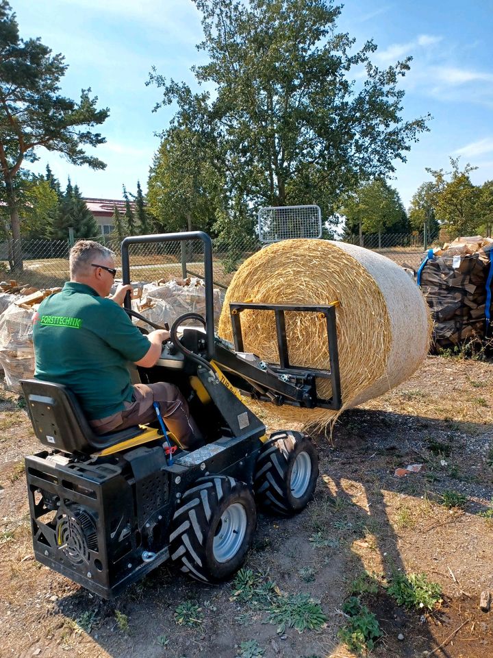 Miniradlader Stier Radlader Hoflader Stalllader in Salzwedel