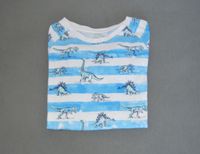 T-Shirt Dino Gr. 128 Dinosaurier Nürnberg (Mittelfr) - Kleinreuth b Schweinau Vorschau