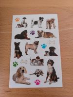 Bogen Sticker Hunde Baden-Württemberg - Sulzburg Vorschau