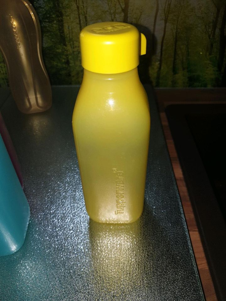 Tupperware Trinkflasche 500 ml -> reduziert in Riedstadt