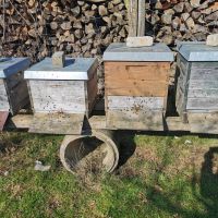 Bienenvölker auf Dadant Bayern - Helmstadt Vorschau