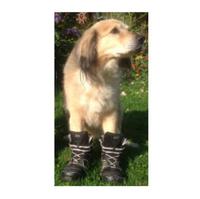 HAIX - BLACK EAGLE SAFETY MID 50 in Groesse 43 =122 incl. Versand Berlin - Lichterfelde Vorschau