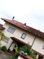 Steinreinigung, Dachreinigung, Fassadenanstrich Bayern - Starnberg Vorschau