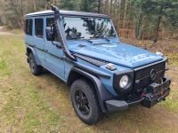 Mercedes G-Klasse Professional 300CDI Motor Nagelneu! Schleswig-Holstein - Trappenkamp Vorschau