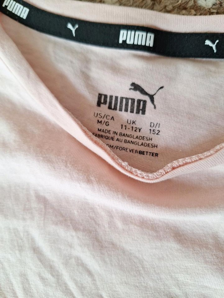 Sport Shirt, PUMA, Gr. 152 in Wittenförden