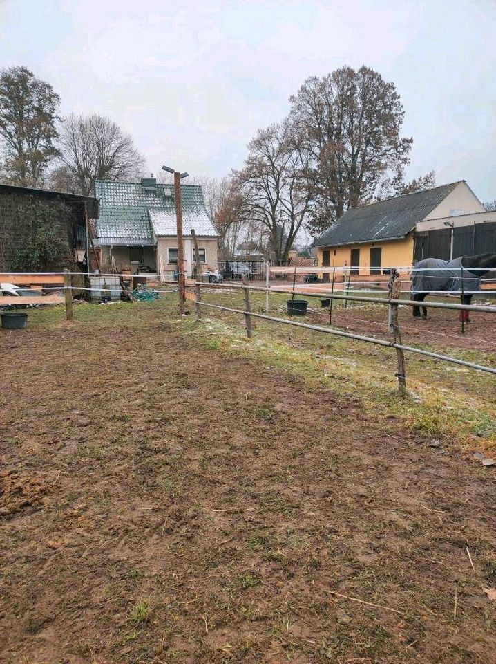 Offenstallplätze und Boxen frei! in Altlandsberg