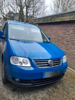 FAMILIENAUTO VW Caddy Maxi 1.6 7-Sitzer TÜV neu Nordfriesland - Bredstedt Vorschau
