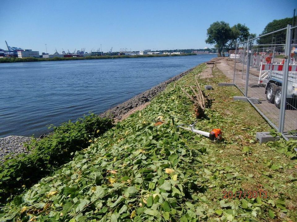 Rasenmähen, vertikutieren, aerifizieren, Rollrasen, Gartenpflege in Hamburg