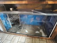 Aquarium 200l 40x50x100 Nordrhein-Westfalen - Beelen Vorschau