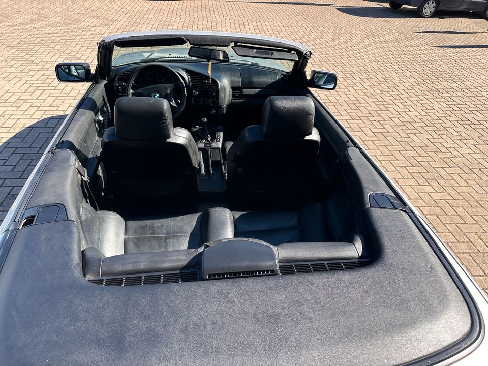 BMW Cabrio e36 in Bad Oeynhausen