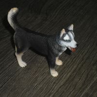 Schleich 16371 - Husky - Hund - TOP Niedersachsen - Buxtehude Vorschau