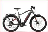 Haibike SDURO Trekking S 9.0 Herren Fahrrad 45 KM/H (S-PEDELES) Saarland - Völklingen Vorschau