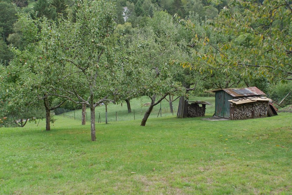 Gartengrundstück in Esslingen