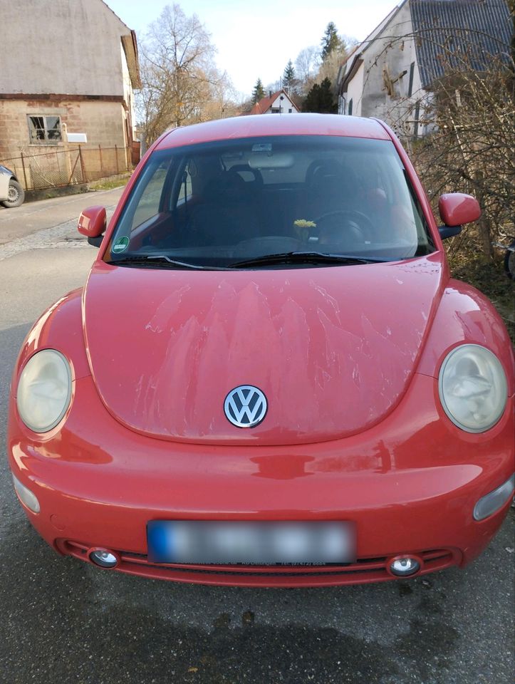 VW Beetle Rot in Burladingen