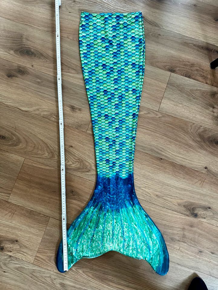 Schwimmflosse Größe L, Länge 113 cm in Staufenberg