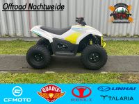 CF-Moto EV 110 Kinderquad ATV / Quad (elektrisch) Rheinland-Pfalz - Neustadt an der Weinstraße Vorschau