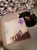 Lynyrd Skynyrd nuthin Fancy Schallplatte Vinyl LP Baden-Württemberg - Möglingen  Vorschau
