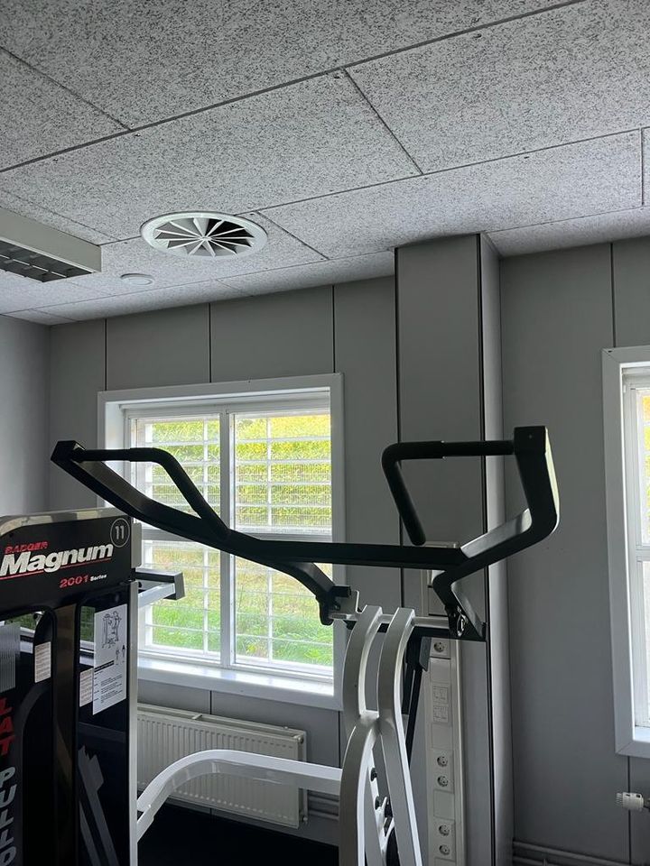 Badger Magnum 2001 Series Latzug/ Lat pulldown mit steckgewichte in Bocholt