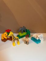 Lego Duplo Zootiere Tierbabys - Set 4962 Kreis Pinneberg - Uetersen Vorschau