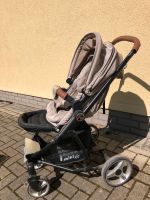 Buggy Hartan I Mini RS Kinderkarre + Zubehör Sachsen-Anhalt - Wernigerode Vorschau