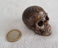 Edelsteinschädel Kristallschädel Skull Totenkopf aus Pietersit * Berlin - Pankow Vorschau