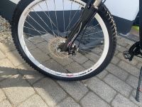 Fahrrad Damen Mountainbike Rheinland-Pfalz - Kettig Vorschau