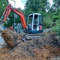 Wurzel , Hecken , Sträucher entfernen / Ausbaggern... Nordrhein-Westfalen - Bergneustadt Vorschau