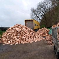 Kaninholz Feuerholz Brennholz Schleswig-Holstein - Gnutz Vorschau