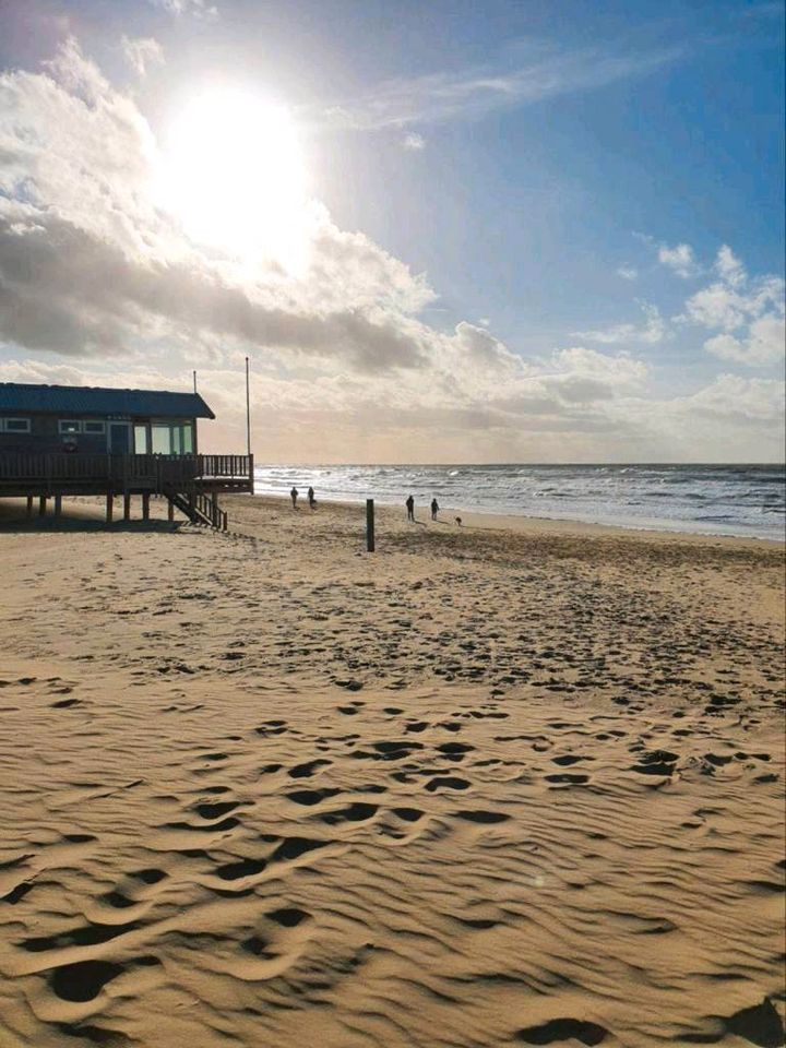 Ferienwohnung DünenGras Julianadorp Holland Nordsee k. Ferienhaus in Gehlert