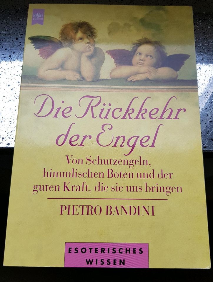 Buch 'Die Rückkehr der Engel' in Drensteinfurt