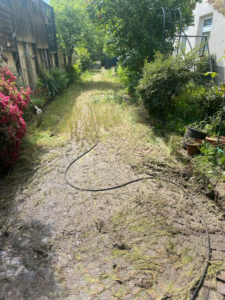 Steinreinigung Terrasse Bauer Pflaster Reinigung Imprägnierung in Bingen