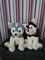 Husky Stoffhunde  2 x 25,- Euro Rheinland-Pfalz - Koblenz Vorschau