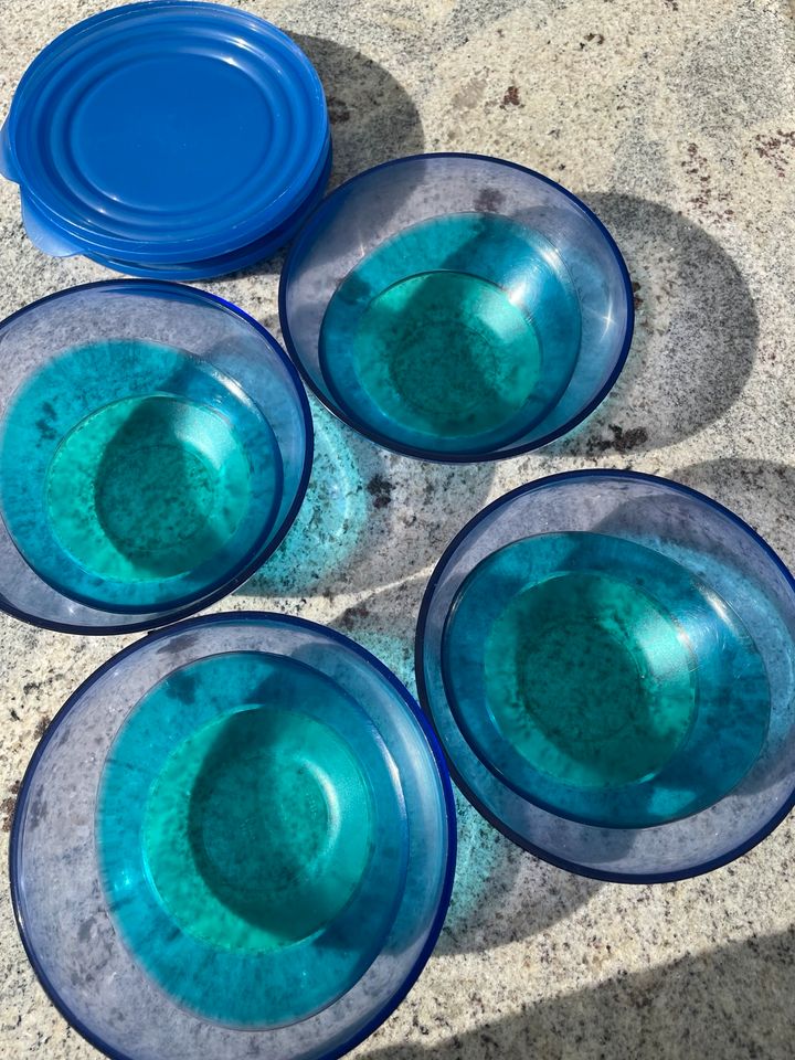 Tupperware Schälchen blau in Sehnde