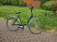 Gösken Style Fahrrad 28, grau, 7Gang Nabenschaltung Nordrhein-Westfalen - Paderborn Vorschau