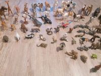 Schleich-Tiere  Sammlung(80 Stück) Bayern - Nersingen Vorschau