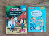 Bibi und Tina Buch/Bücher Hessen - Ahnatal Vorschau