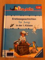 Buch Leserabe Erstlesegeschichten für Jungs in der 1.Klasse Sachsen - Kesselsdorf Vorschau