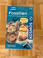 Fossilien - Kosmos - Ausgrabungsspiel Leipzig - Möckern Vorschau