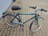 Trekking Fahrrad Pasadena Nordrhein-Westfalen - Willich Vorschau