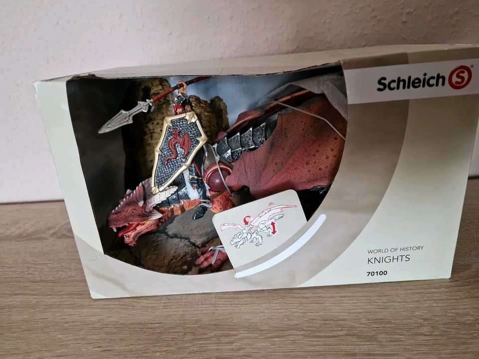 Schleich Drachenreiter Neuware in Schwerin