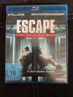 Blue ray escape Saarland - Mandelbachtal Vorschau